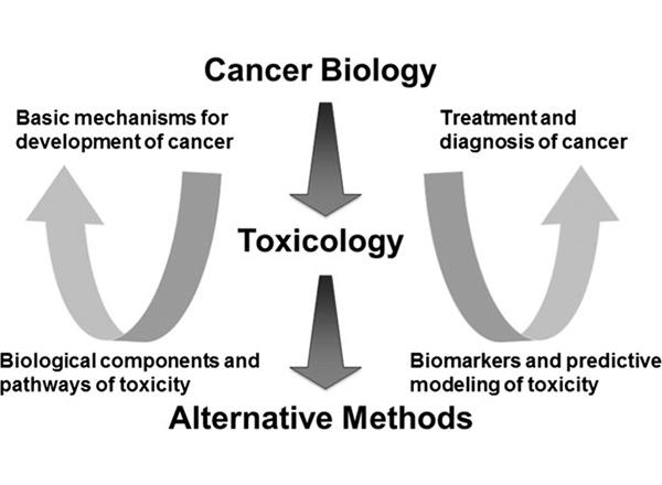 Cancer Biology, Toxicology and Alternative Methods Development Go Hand-in-Hand