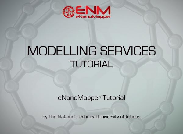 Nano Modelling Services Tutorial