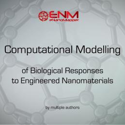 Nanotoxicology: Experimental and Computational Perspectives