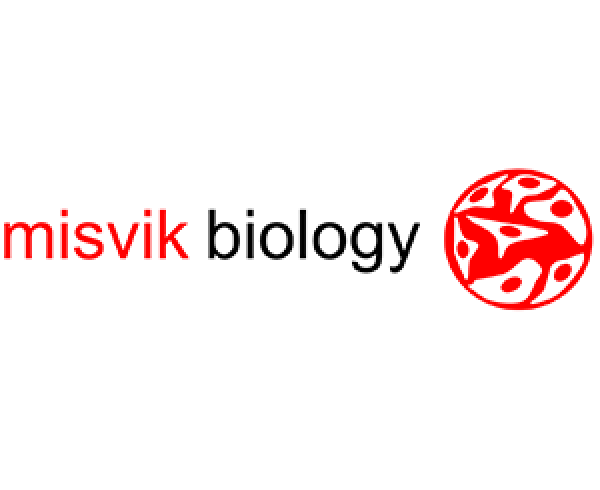 Misvik Biology