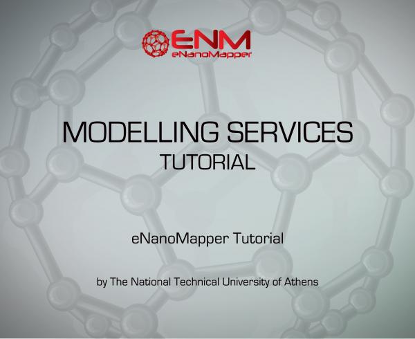 Nano Modelling Services Tutorial