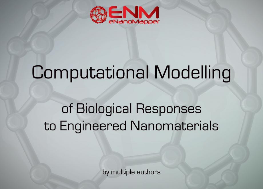 Nanotoxicology: Experimental and Computational Perspectives