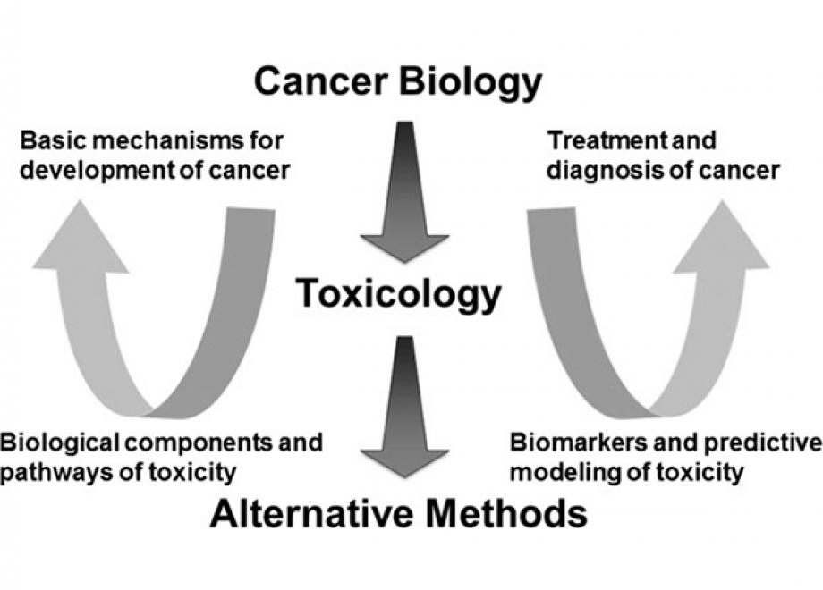 Cancer Biology, Toxicology and Alternative Methods Development Go Hand-in-Hand