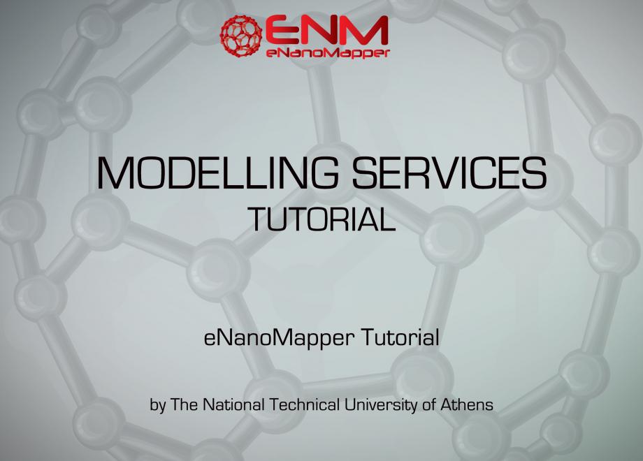 Nano Modelling Services Tutorial