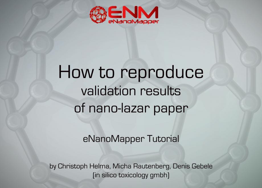 How to reproduce validation results of nano-lazar paper