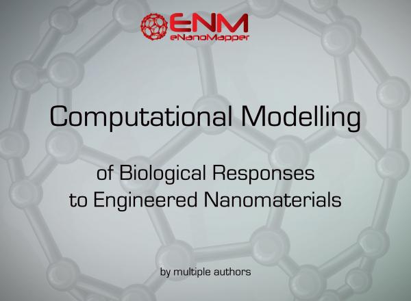 Nanotoxicology: Experimental and Computational Perspectives