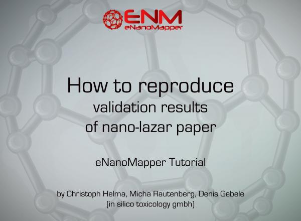 How to reproduce validation results of nano-lazar paper